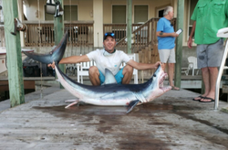 Port Aransas Coastal Wonders!